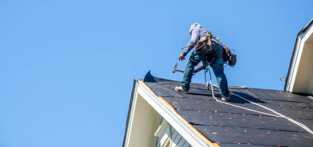 Best Roof Gutter Cleaning  in Tillson, NY